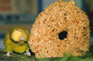 Leckereien - Rezepte