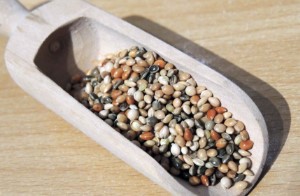 Futterliste Getreide und Samen