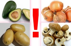 Lebensmittel, die für Wellis tabu sind!