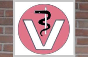 Den richtigen Tierarzt finden - wie?