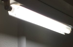 Beleuchtung - Vogellampen