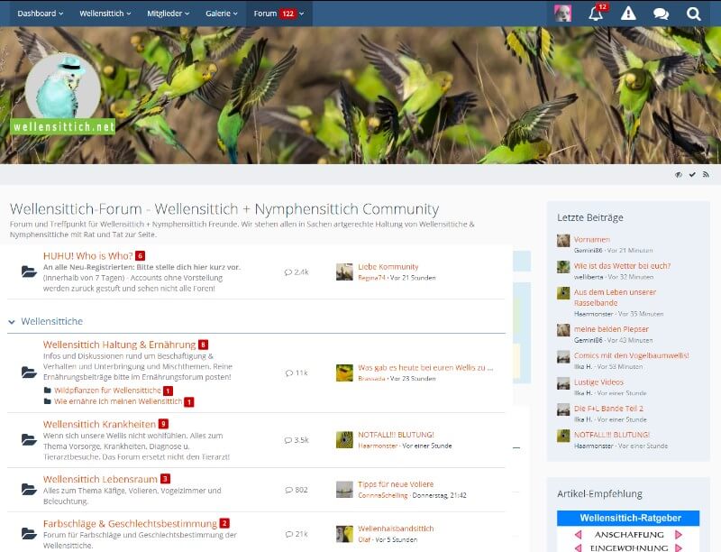 Wellensittichforum