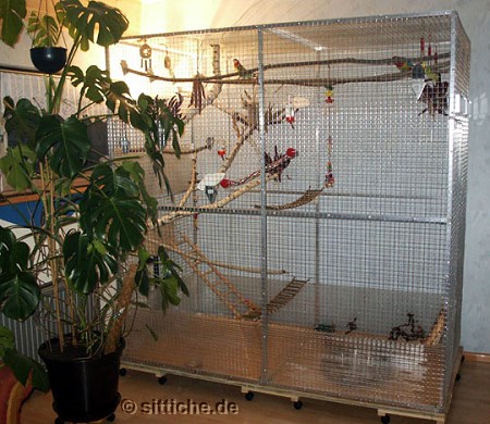Voliere Eigenbau