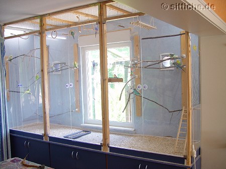 Voliere Eigenbau