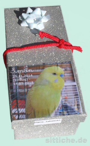 Wellensittich beerdigen