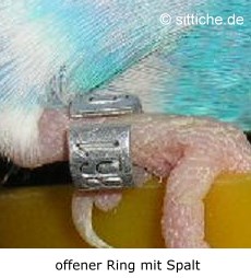 offener Ring