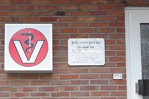 Wellensittich Scherengriff