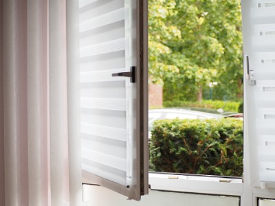 Wellensittich Vorsicht Zugluft