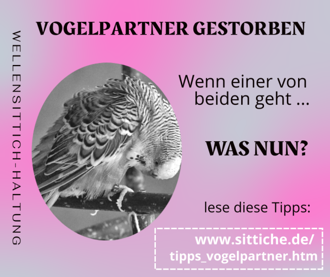 Vogelpartner verstorben - was nun?